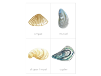 Product image #3