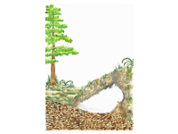 Product image #1