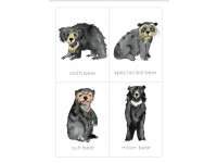 Product image #0