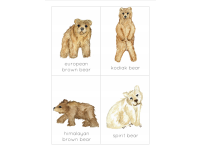 Product image #1