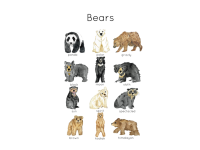 Product image #2