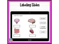 Product image #3