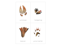 Product image #3