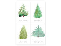 Product image #1
