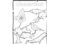 Product image #1
