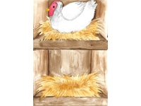 Product image #0