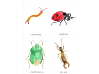 Product image #2