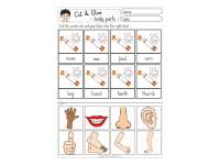 Cut & Glue: Body Parts by Teach Simple