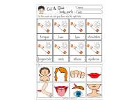 Cut & Glue: Body Parts by Teach Simple