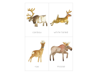Product image #1