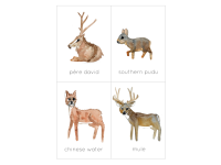 Product image #3