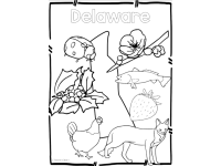 Product image #1