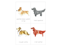 Product image #3