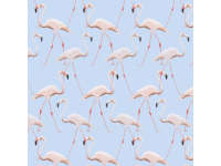 Product image #0