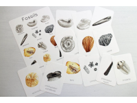 Product image #0