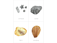 Product image #2