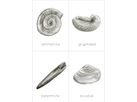Product image #3