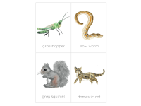 Product image #2