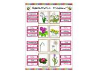 German Clip Cards: Flowers Vocabulary by Teach Simple
