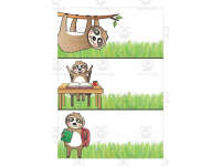 German: Sloth Themed Class Material | Blackboard Cards & Blank ...