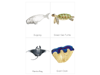 Product image #3
