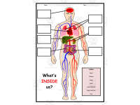 Product image #0