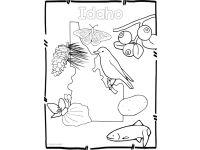Product image #0