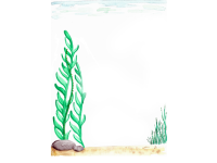 Product image #0