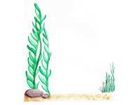 Product image #2