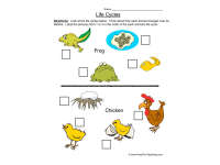 Product image #0