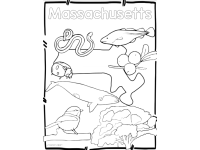 Product image #1