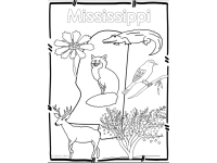 Product image #1