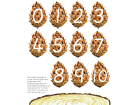 Product image #1