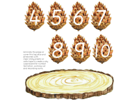 Product image #2