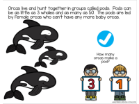 Product image #3