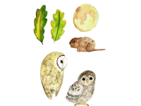 Product image #1
