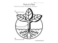 Product image #0