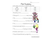 Plant Vocabulary Worksheet by Teach Simple