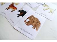 Product image #5