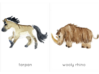 Product image #8