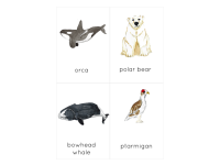 Product image #1