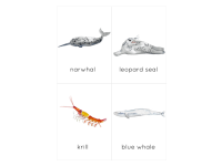 Product image #3
