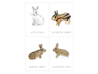 Product image #2