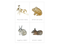 Product image #3