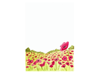 Product image #2
