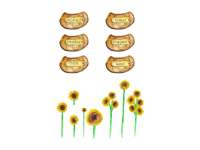 Product image #0