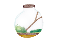 Product image #0