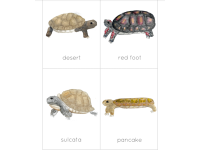 Product image #2