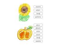Product image #0