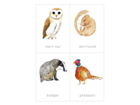 Product image #2